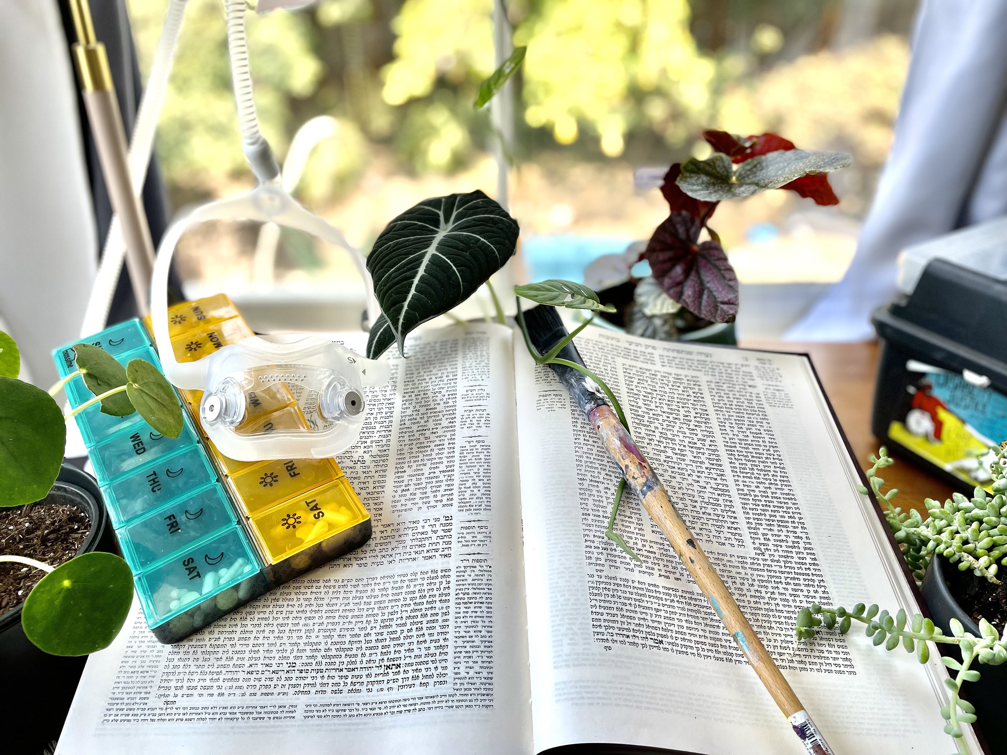 A Chumash (or printed and bound Hebrew Bible) lays open. A paint brush sits on the right side, and a pill organizer case and respirator sit on the other. Houseplants droop their leaves over the open pages of the book.