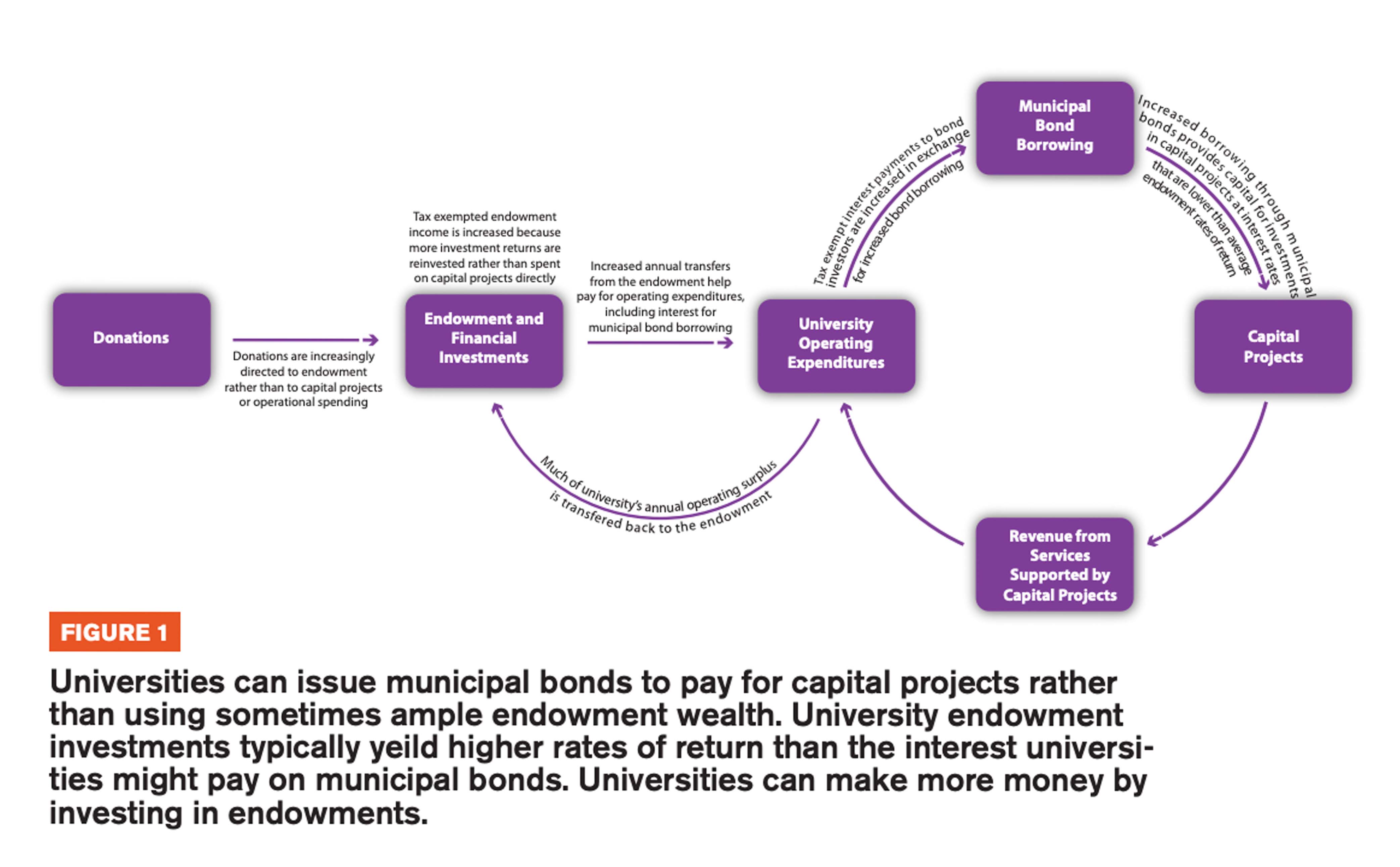 Figure 1 includes an infographic showcasing how universities can have municipal bonds to pay for capital projects rather than using sometimes ample endowment wealth