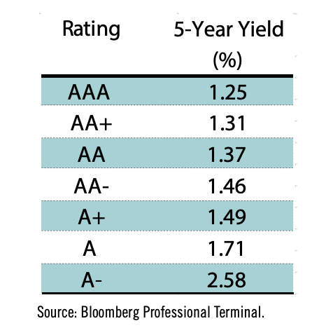 AAA: Definition as Credit Rating, Criteria, and Types of Bonds