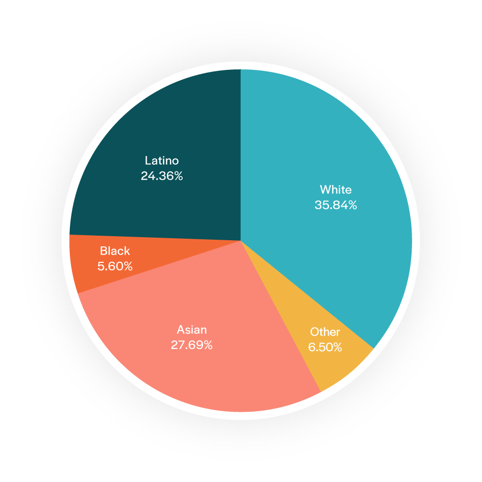 A pie graph of racial composition in the Bay Area