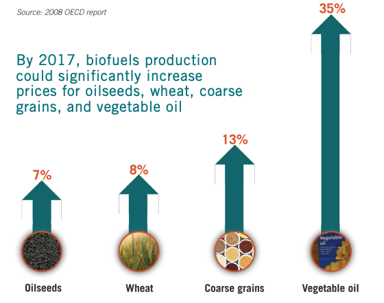 This infographic showcases how By 2017, biofuels production could significantly increase prices for oilseeds, wheat, coarse grains, and vegetable oil