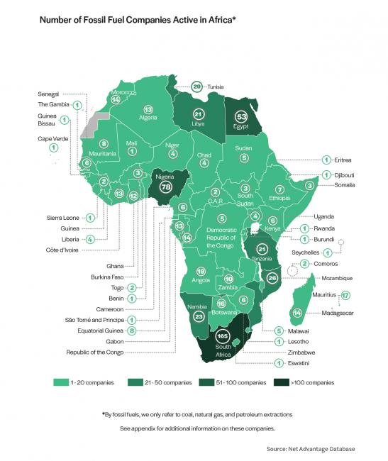 An infographic shows the number of fossil fuel companies active in Africa