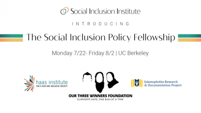 Social Inclusion Fellowship